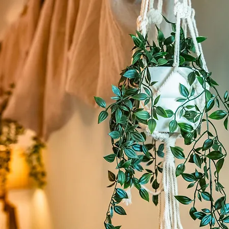 Casa Spinola View 公寓 热那亚