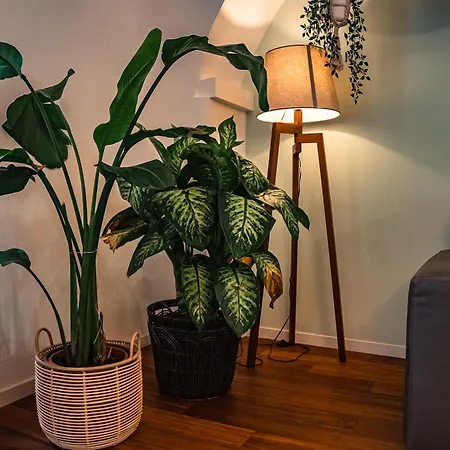 Apartmán Casa Spinola View