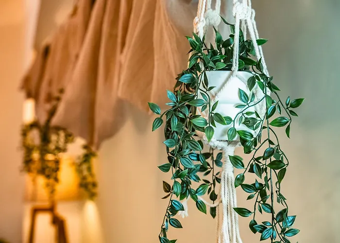 Casa Spinola View Apartmán Janov